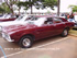 Ford Maverick